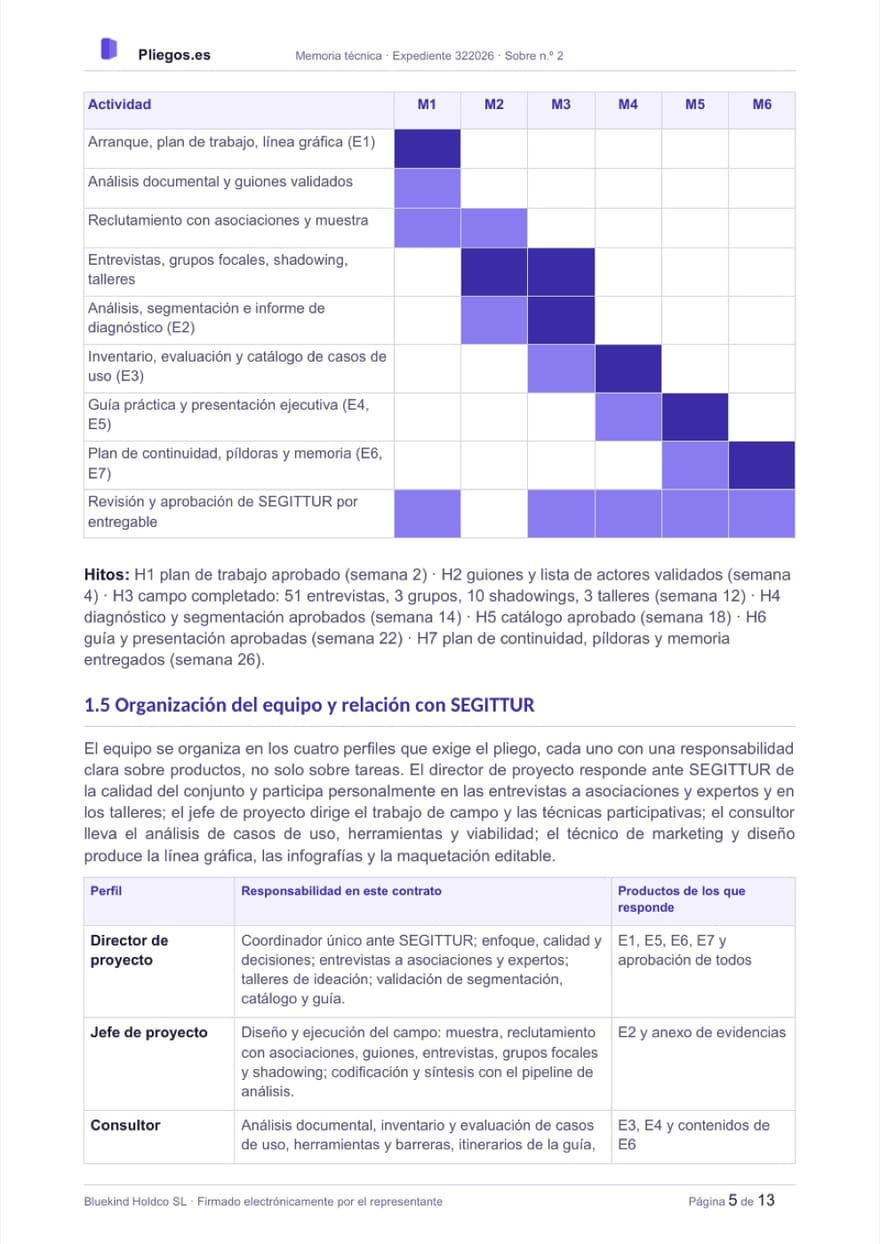 Página de la memoria técnica con el cronograma de actividades mes a mes, la lista de hitos y la tabla que asigna a cada perfil del equipo los entregables de los que responde.